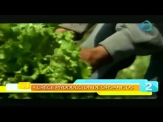 Las cinco maravillas del día 10 de abril 2015