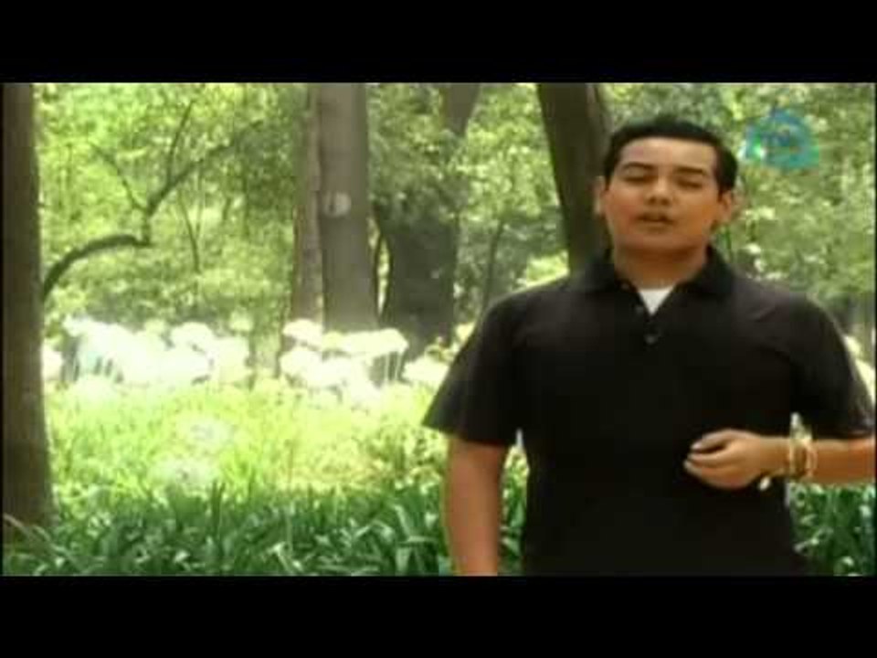 ¿Cómo lograr lo que deseamos?