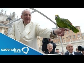 Amore, el loro que cautivó al papa Francisco y a El Vaticano