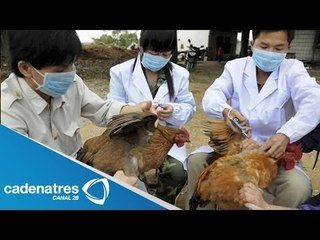 Alerta en China por virus H7N9; 20 personas pierden la vida
