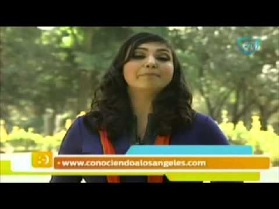 Decreto de hoy para invocar a el  ángel de la c...