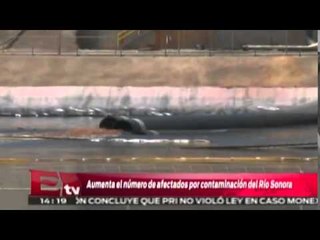Aumentan los  afectados por contaminación del Río Sonora / Titulares de la tarde