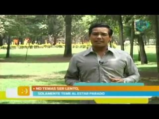 Hoy rige el cerdo de metal / Horóscopo chino