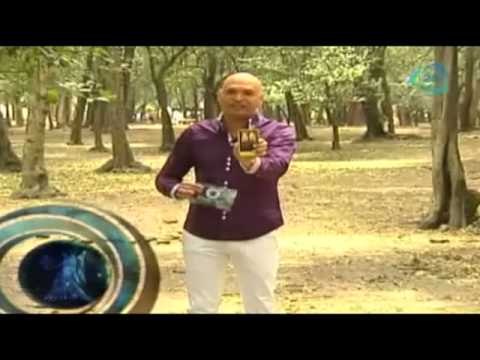 Predicciones para Aries y Virgo hoy 25 de mayo