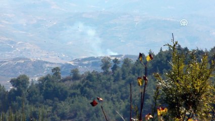 Suriye sınırındaki orman yangınları - HATAY