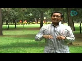 Horóscopo Chino: Hoy rige la cabra de tierra