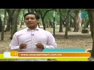 Tu actitud decide si obtienes lo que deseas para este día