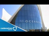 Elementos de la PGR catean oficinas de Oceanografía en Veracruz