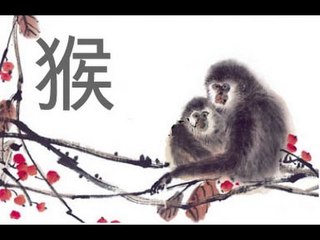 Horóscopo Chino: Hoy rige el mono de agua