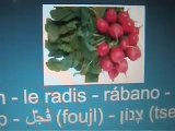 Arabic language - langue arabe - vegetable légume rouge