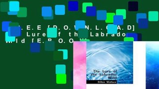 F.R.E.E [D.O.W.N.L.O.A.D] The Lure of the Labrador Wild [E.B.O.O.K]