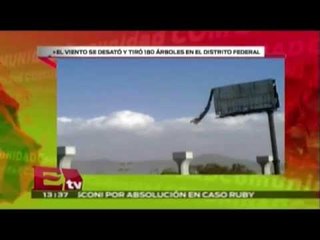 Fuertes vientos tiran 180 arboles en DF / Comunidad