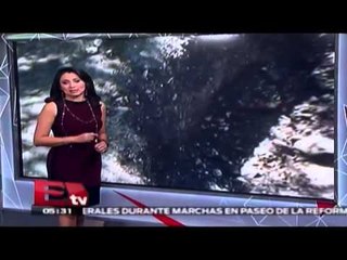 Aumenta numero de víctimas por atentado en Túnez: Resumen / Vianey Esquinca