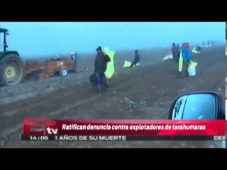 Indígenas explotados en BCS se niegan a regresar a Chihuahua / Titulares de la tarde