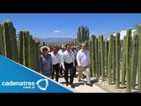 Peña Nieto inaugura jardín botánico y autopista Amecameca-Cuautla en Morelos