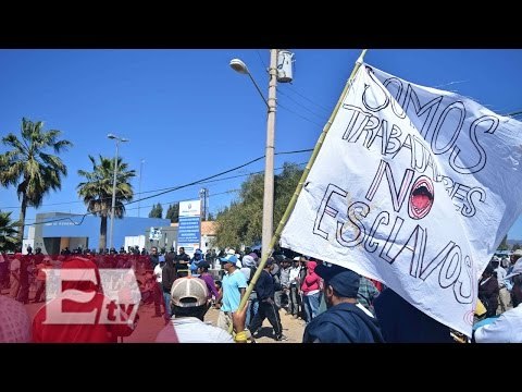 Jornaleros de San Quintín exigen al presidente el pago de sus salarios / Vianey Esquinca