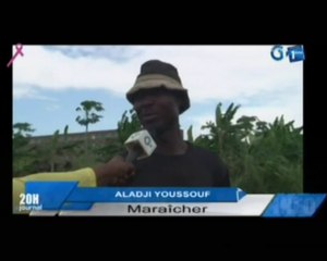 RTG/Découverte d’une culture maraîchère, les populations s’essaient dans cette activité