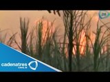 Incendio consume 65 hectáreas en Bacalar, Quintana Roo