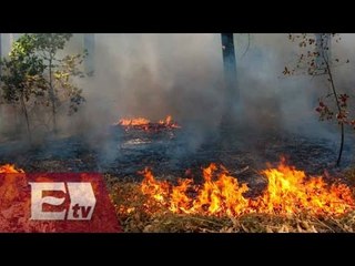 Alerta en Aguascalientes por incendios en reservas ecológicas / Titulares de la tarde