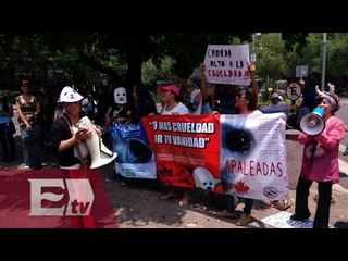 Protestan fuera de embajada de Canadá contra la matanza de focas  / Vianey Esquinca