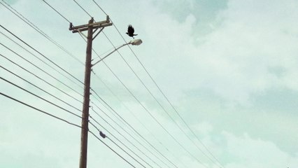 Eric Church - Higher Wire (Audio)