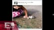 Desde la red: Mujer quema vivo a un gato y desata la furia en redes sociales