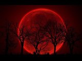 Nuevas imágenes del eclipse lunar 'Rojo' / New images of the lunar eclipse 'Red'