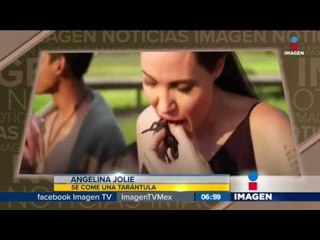 Angelina Jolie se come una tarántula