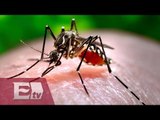 Chikungunya llega a Aguascalientes; primer caso en el estado / Vianey Esquinca
