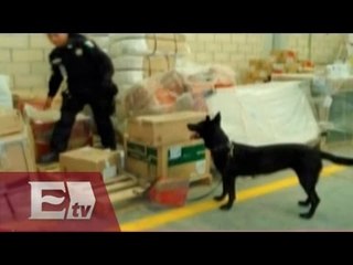 Histórico decomiso de anfetaminas en Yucatán / Vianey Esquinca