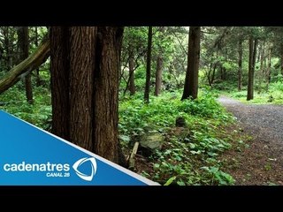 Télécharger la video: Inseguridad en el bosque de Tlalpan / Insecurity in the Tlalpan forest