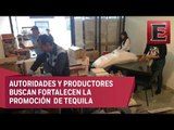 Envían 1,132 botellas de tequila a embajadas para su promoción