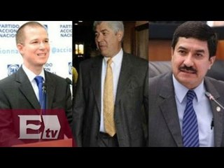 Antecedentes en la política del  PAN / Opiniones encontradas