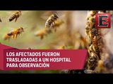 Ataque abejas en Durango deja al menos 20 lesionados