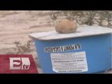 Activistas de California dejan agua en el desierto para los indocumentados/Titulares de la Noche