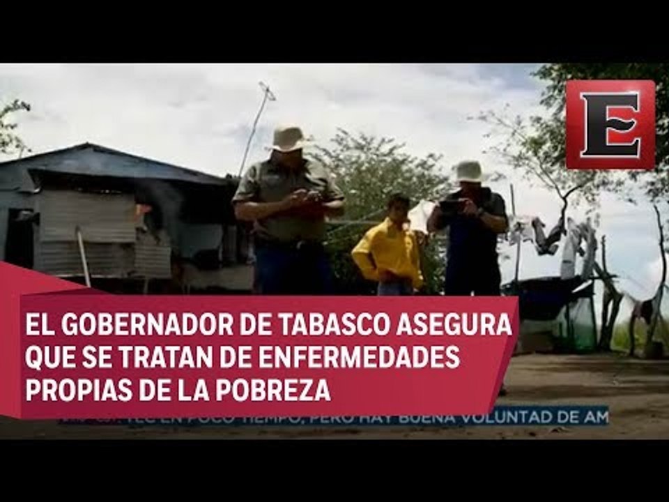 Emergencia en el Edén: Muerte de manatíes provoca enfermedades