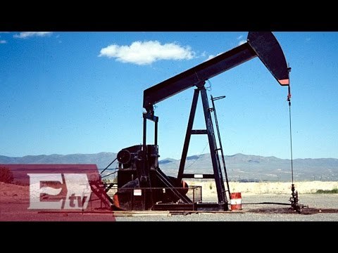 Comisión Nacional de Hidrocarburos modifica garantias para incentivar inversiones: Vianey Esquinca