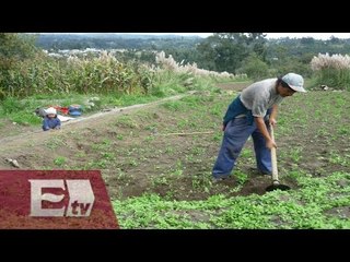 Historias del diván / Titulares de la mañana