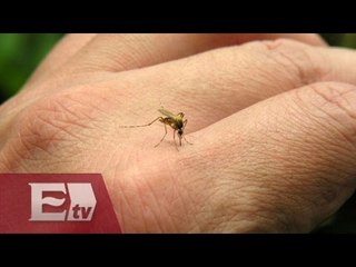 Se disparan los casos de chikungunya en el sur de  México / Vianey Esquinca