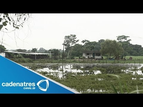 Depresión tropical Boris afecta 1600 personas de Tenosique y Palancana, Tabasco