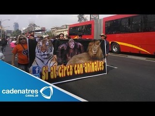 Marchan cirqueros contra ley que prohibe trabajar con animales en circos