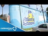 Rescatan delfines y lobos marinos maltratados en acuario / Maltrato animal