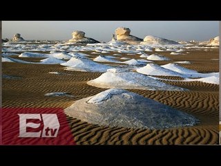 Ordenan pruebas de ADN para identificar a víctimas en Egipto / Titulares de la tarde