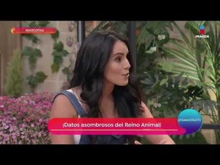 5 datos que no sabías de los animales