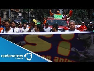 Integrantes de circos exigen el uso de animales en espectáculos circenses