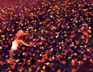 인터넷경마 온라인경마 A E S G 2 점 C0M ★★ 인터넷경정