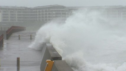 [날씨] 어제보다 빠른 '콩레이'...언제 본격 영향 주나 / YTN