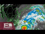 Tormenta tropical Patricia se forma en el Pacífico / Vianey Esquinca