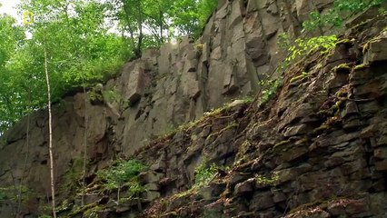 Uçak Kazası Raporu S18E05 Deadly Display