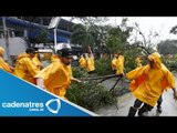Tifón Rammasun deja 38 muertos en Filipinas / Rammasun Typhoon leaves 38 dead in Philippines